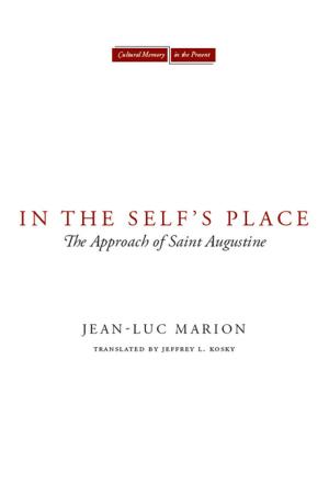 Cover of the book In the Self's Place by Anne  D. Birdwhistell