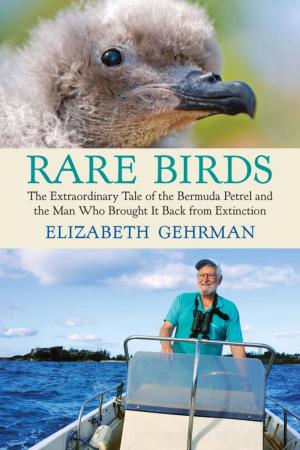 Cover of the book Rare Birds by Angela Saini