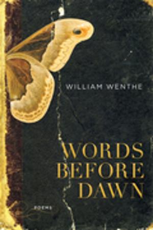 Cover of the book Words Before Dawn by Hilary Holladay
