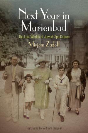 Cover of the book Next Year in Marienbad by Daniel Boyarin