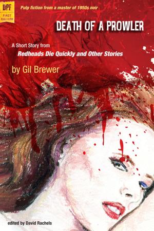 Cover of the book Death of a Prowler by Britta Waldschmidt-Nelson