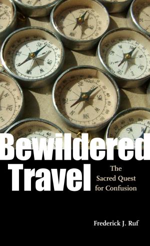 Book cover of Bewildered Travel