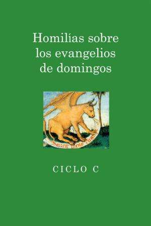 Cover of the book Homilias sobre los evangelios de domingos by Gabriel Moran
