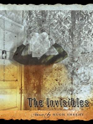 bigCover of the book The Invisibles by 