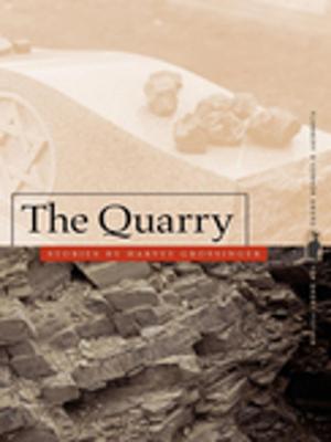 Cover of the book The Quarry by Jed Rasula