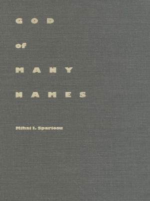 Cover of the book God of Many Names by J. Mitchell Pickerill, Neal Devins, Mark A. Graber