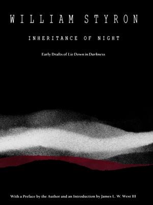 Cover of the book Inheritance of Night by Christine R. Yano