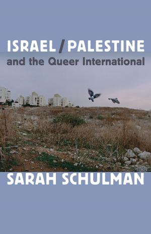 Cover of the book Israel/Palestine and the Queer International by Michael Shelton