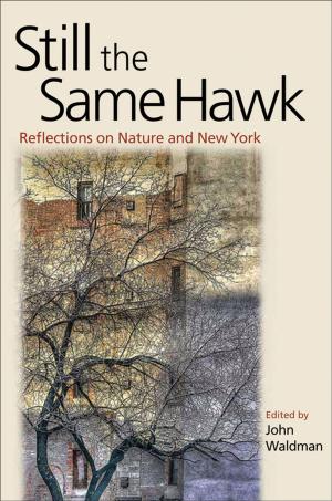 Cover of the book Still the Same Hawk: Reflections on Nature and New York by William B. Kurtz