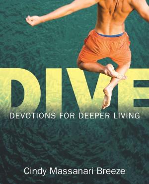 Cover of the book Dive by Gareth Brandt