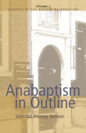 Cover of the book Anabaptism In Outline by David W Shenk, Ervin R Stutzman