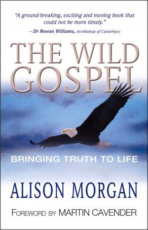 Cover of the book The Wild Gospel by Michele Guinness