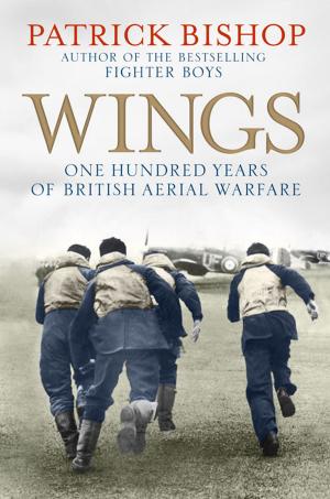 Cover of the book Wings by Nadim Safdar
