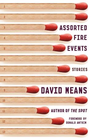 Cover of the book Assorted Fire Events by Gerri Hirshey