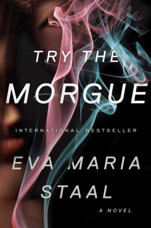 Cover of Try the Morgue: A Novel