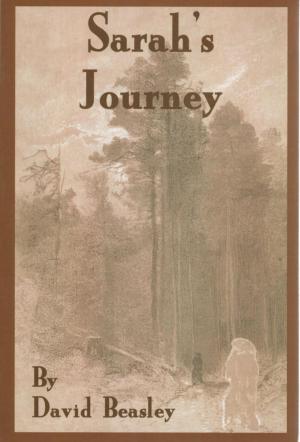 Cover of the book Sarah's Journey by Julian Schenke, Christopher Schmitz, Stine Marg, Katharina Trittel, Florian Finkbeiner, Pauline Höhlich, Sören Isele, Daniela Kallinich, Michael Thiele