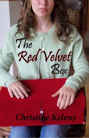 Book cover of The Red Velvet Box