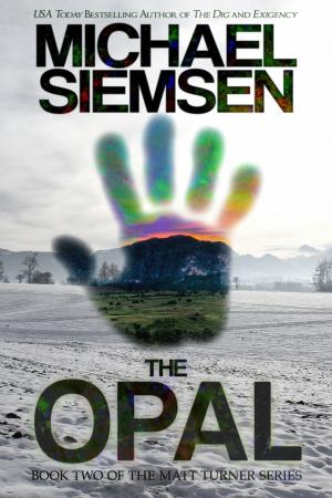 Cover of the book The Opal (Book 2 of the Matt Turner Series) by Traci Loudin