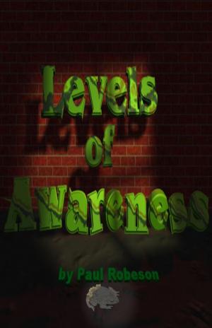 Cover of the book Levels of Awareness by Frank Lawlor