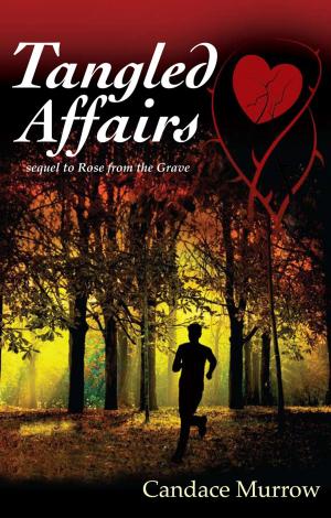 Cover of the book Tangled Affairs: sequel to Rose from the Grave by Suenammi Richards