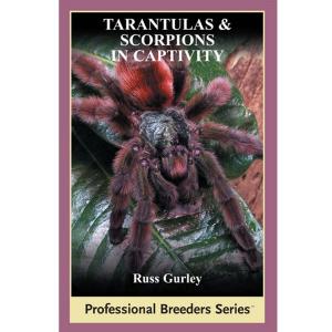 Cover of the book Tarantulas and Scorpions in Captivity by Ulrike Anders