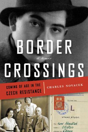 bigCover of the book Border Crossings by 