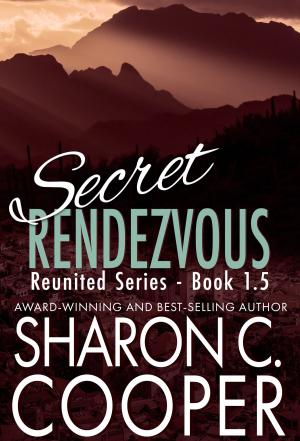 Cover of the book Secret Rendezvous by Claire Yezbak Fadden