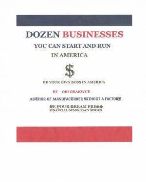 Book cover of Dozen Businesses You Can Start and Run in America