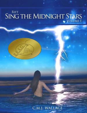 Cover of the book Sing the Midnight Stars by Barry Vacker