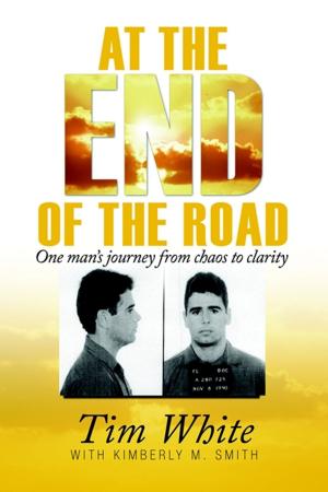 Cover of the book At the End of the Road by Rob Walters