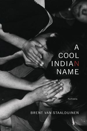 bigCover of the book A Cool Indian Name by 