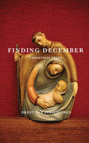 Cover of the book Finding December by Teresa Dovalpage