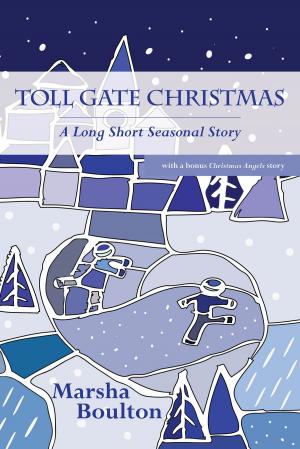 Cover of the book Toll Gate Christmas by Falko Rademacher