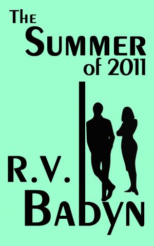Book cover of The Summer of 2011