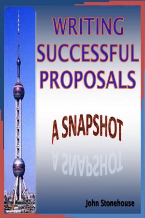 Cover of the book Writing Successful Proposals: A Snapshot by Aeon Igni