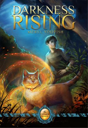 Cover of the book Darkness Rising by Andy Statia