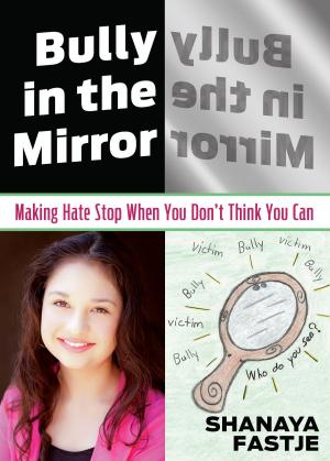 Book cover of Bully in the Mirror