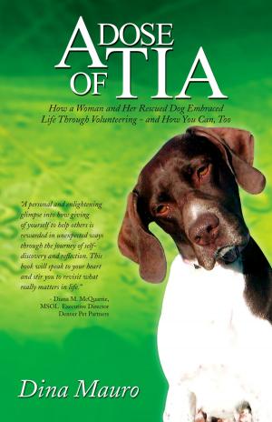 Cover of the book A Dose of Tia by Sebastian Keysers
