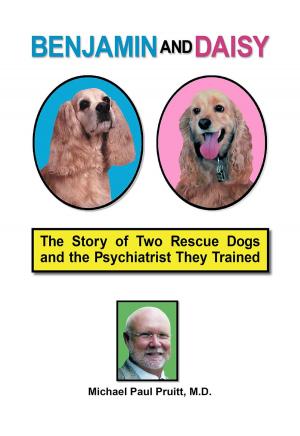 Book cover of Benjamin and Daisy: The Story of Two Rescue Dogs and the Psychiatrist They Trained