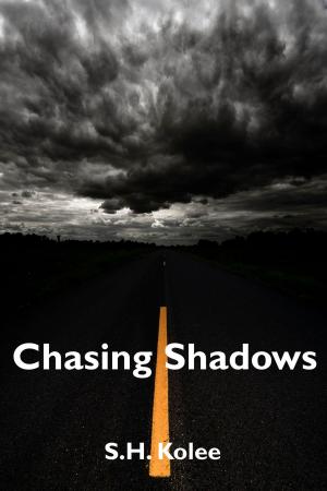 Cover of the book Chasing Shadows (Shadow Series #2) by Serena Pettus