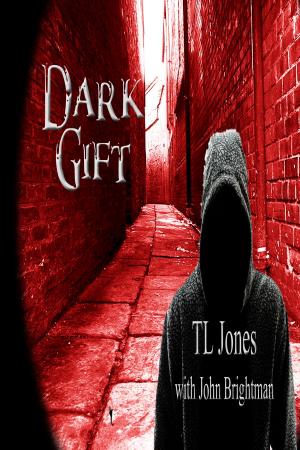 Cover of the book Dark Gift by A.E. Hellstorm