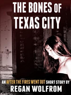 Cover of The Bones of Texas City: An After The Fires Went Out Short Story