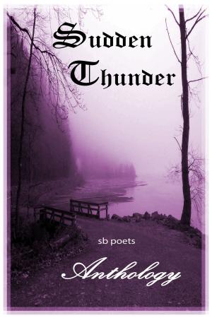 Book cover of Sudden Thunder Anthology 2011-1