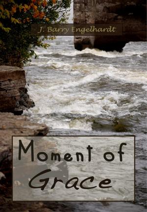 Cover of the book Moment of Grace by Hunter Mann IV