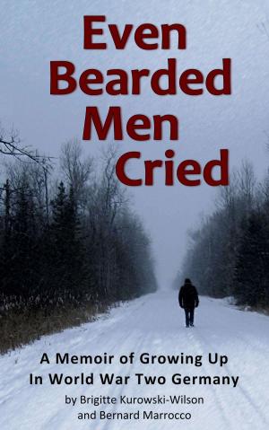 Cover of Even Bearded Men Cried