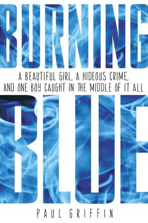 Cover of the book Burning Blue by David A. Adler