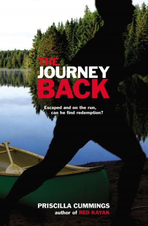bigCover of the book The Journey Back by 