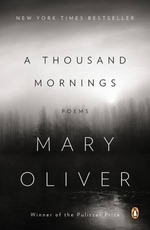 Cover of the book A Thousand Mornings by John Varley