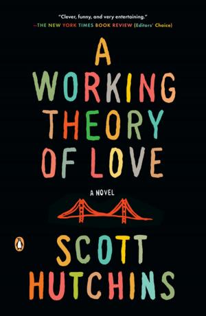 Cover of the book A Working Theory of Love by Christine Negroni