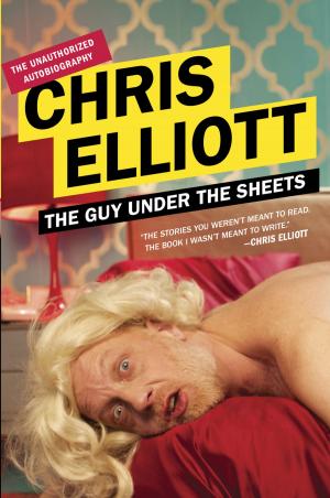 Book cover of The Guy Under the Sheets